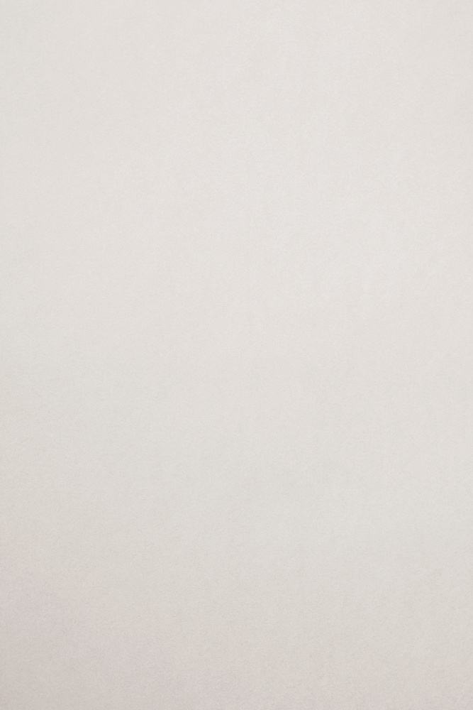 Plain cream solid background 
